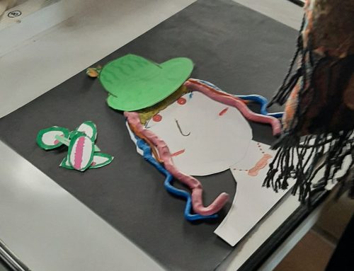 Atelier « IMAGE FERTILE »